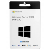 Windows SQL Server 2022 Standard CAL (1) (Benutzer)